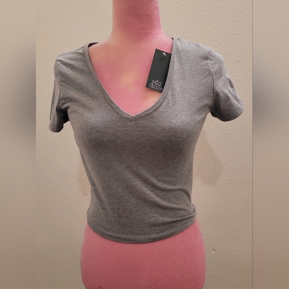 NWT Wild Fable Gray Fitted Crop Tee